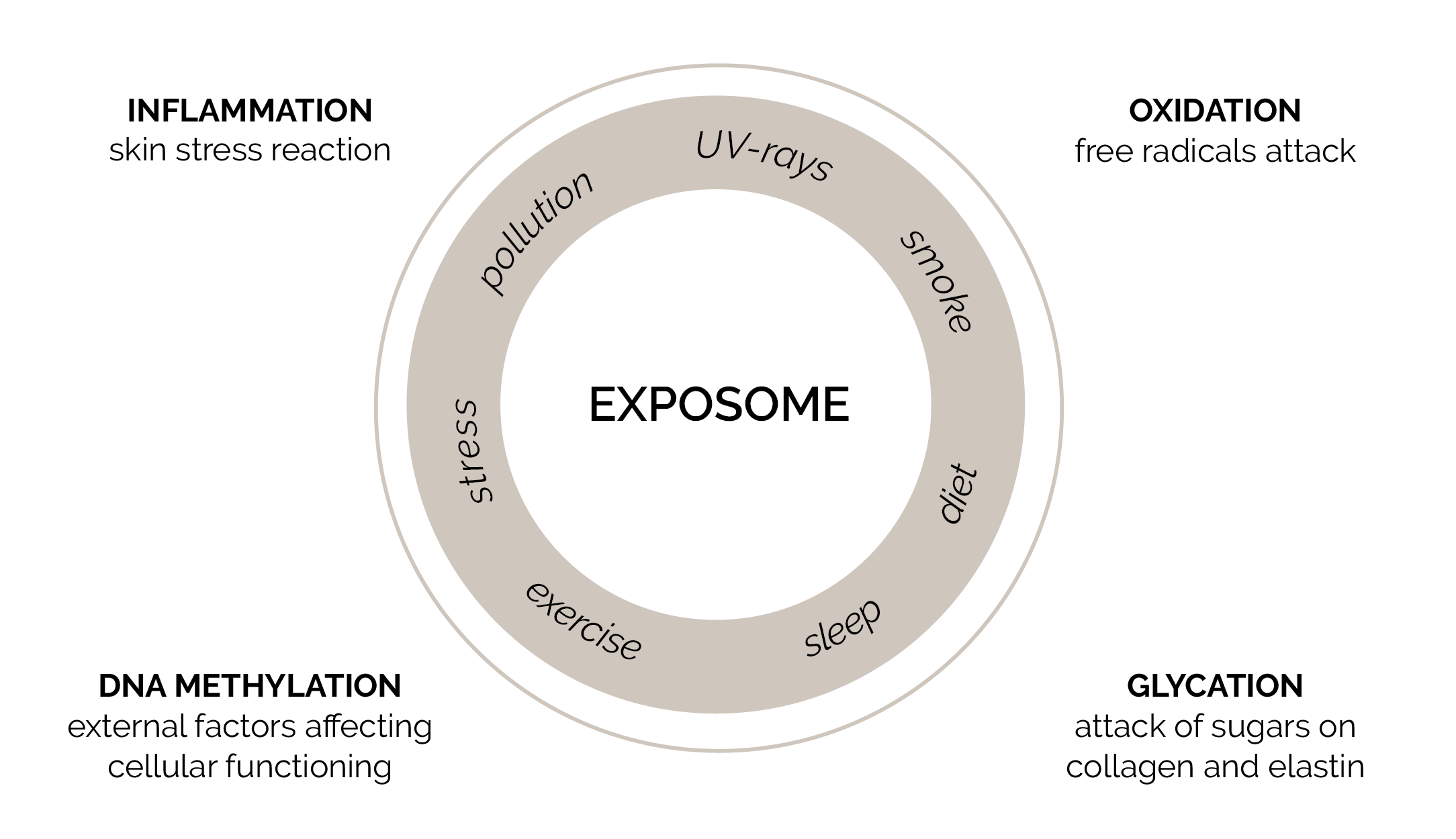 Exposome Senescence Ayurveda